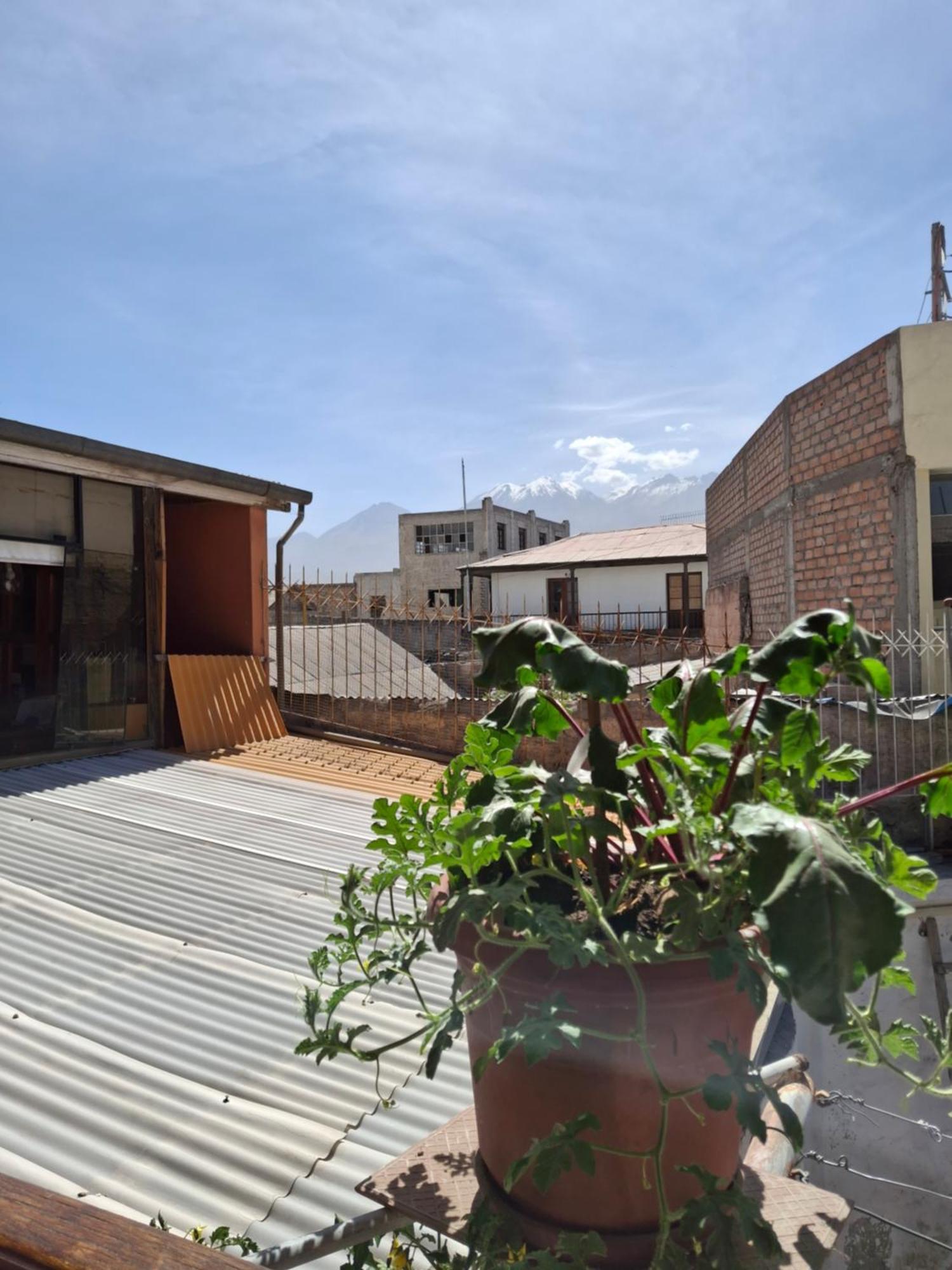 Hostal Lluvia De Oro アレキパ エクステリア 写真