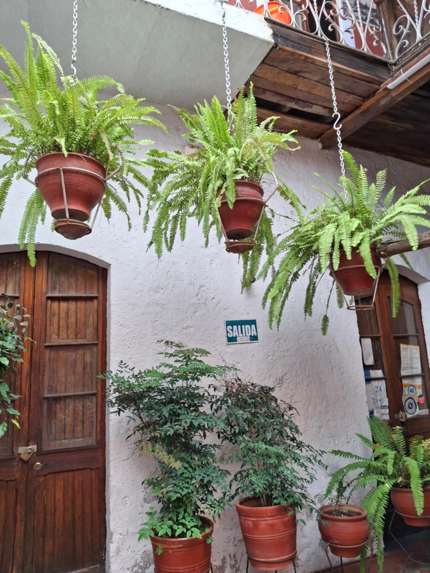 Hostal Lluvia De Oro アレキパ エクステリア 写真