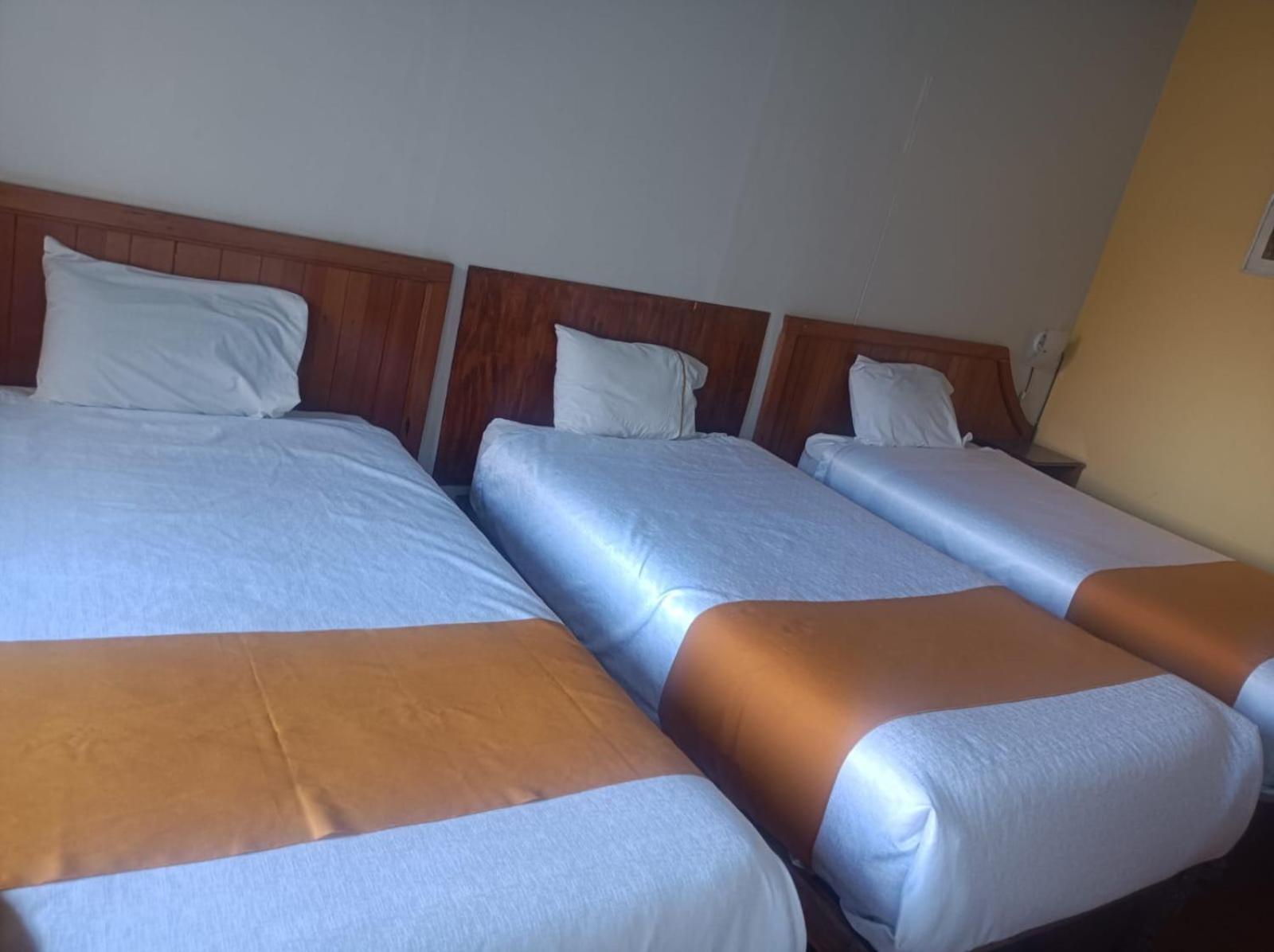 Hostal Lluvia De Oro アレキパ エクステリア 写真